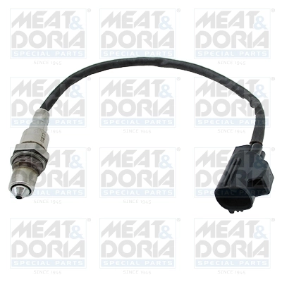 Oxygen Sensor
